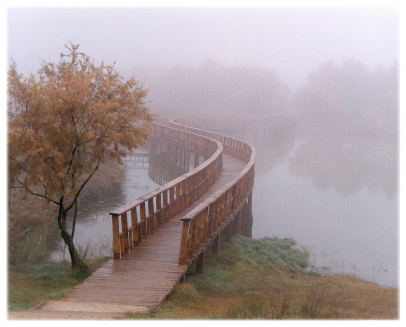 Niebla_en_las_tablas