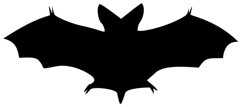 bat